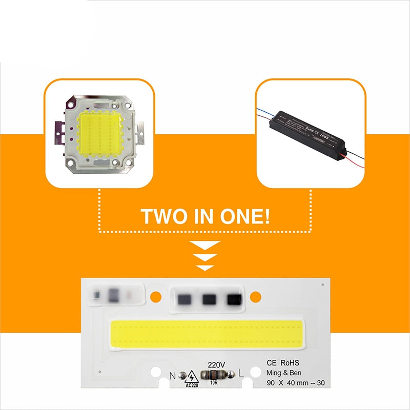 Smart IC Light LED Bright COB Bulb Lamp 30W 50W 70W 100W 150W AC220V 110V Input High Power IP65 Smart IC DIY For LED Flood Light