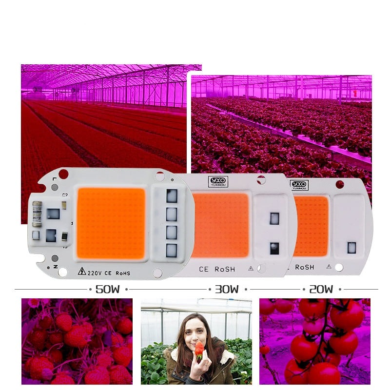 LED COB Chip For Grow Plant Light Full Spectrum Input 220V AC 20W 30W 50W For Indoor Plant Seedling Grow and Flower