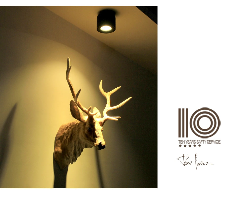 Aisilan LED Downlight Ceiling Spot light Nordic Living Lamp For Kitchen Bedroom Chip Embedded Spotlights AC90-260V