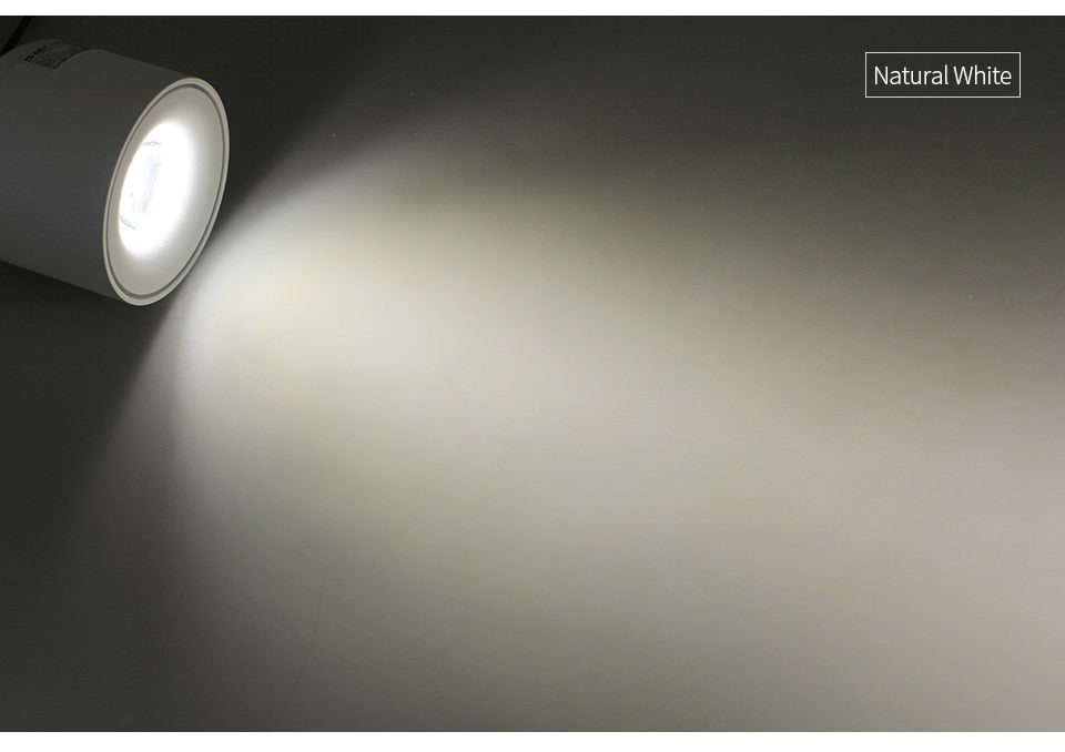 Aisilan LED Downlight Ceiling Spot light Nordic Living Lamp For Kitchen Bedroom Chip Embedded Spotlights AC90-260V