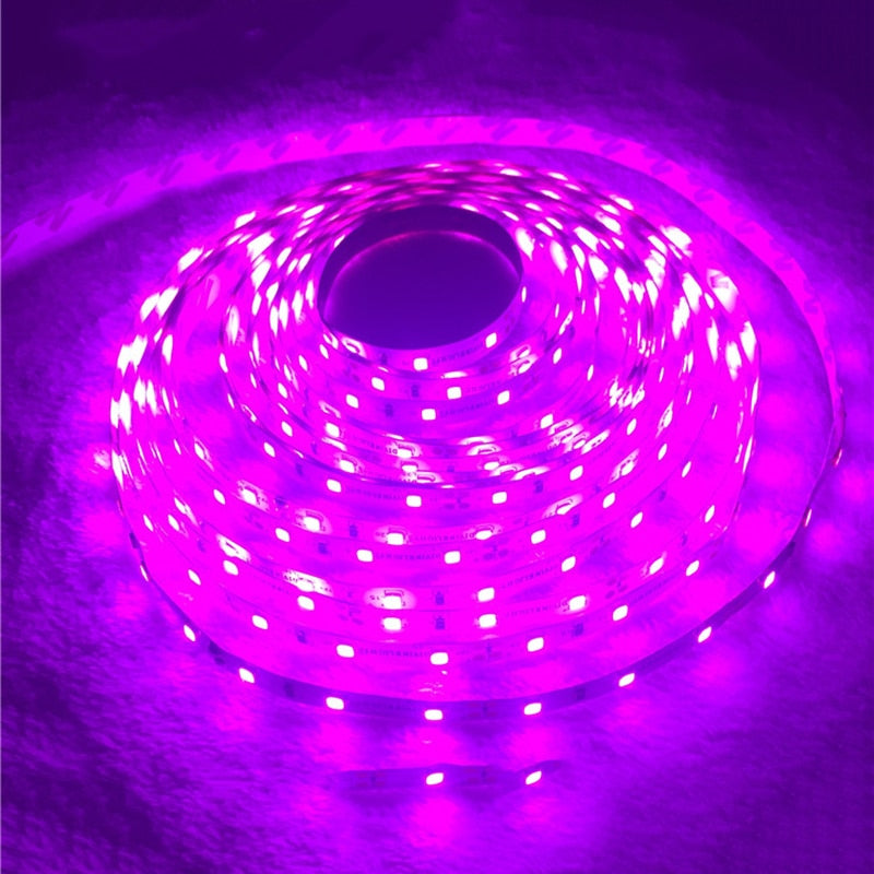 Pink LED Strip light IP65 Waterproof 3528 SMD 60LED/M 5M flexible LED rope bar light DC12V Led decoration tape