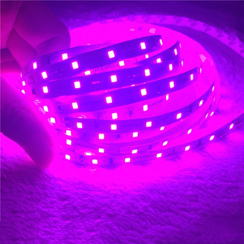 Pink LED Strip light IP65 Waterproof 3528 SMD 60LED/M 5M flexible LED rope bar light DC12V Led decoration tape
