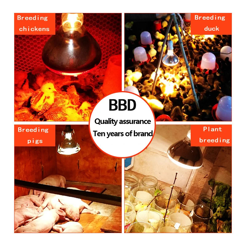 Quartz Farming Red Heating Waterproof Infrared Lamp LED PAR38 100W 150W/200W/275W