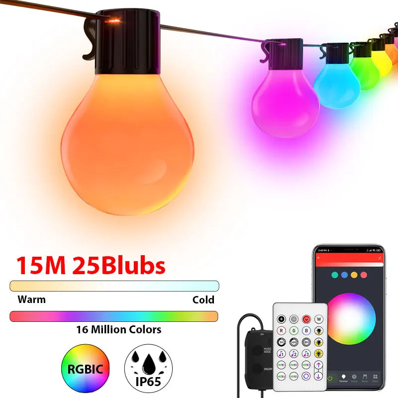 44191304646913|44191304679681