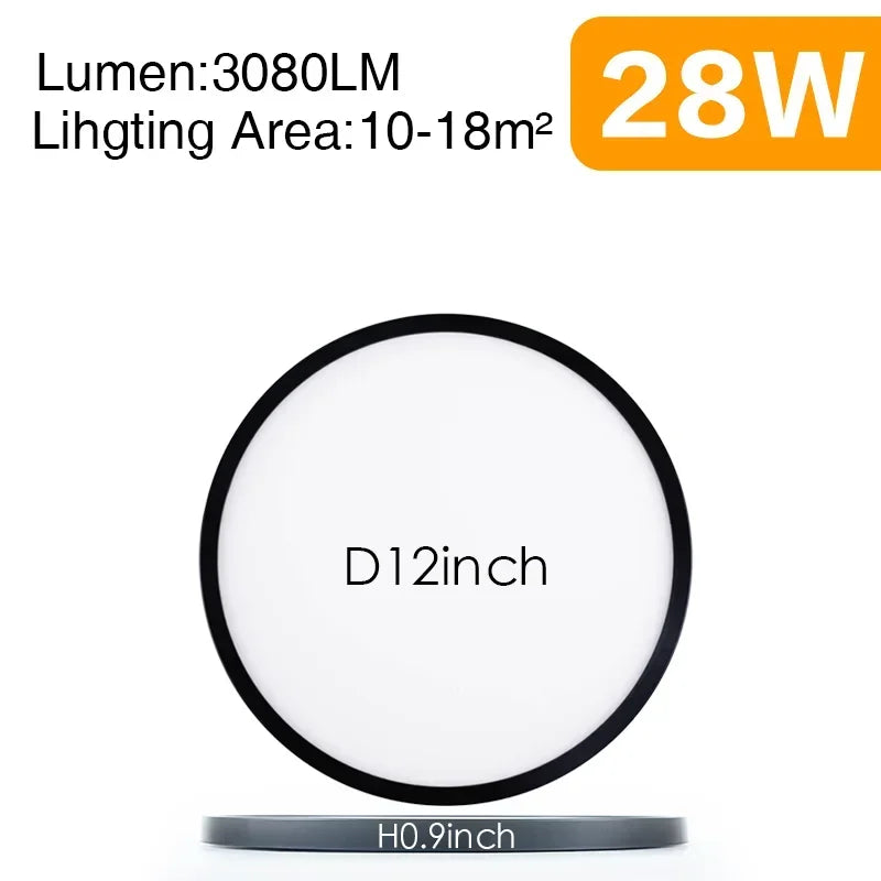 45436844835073|45436844867841|45436844933377