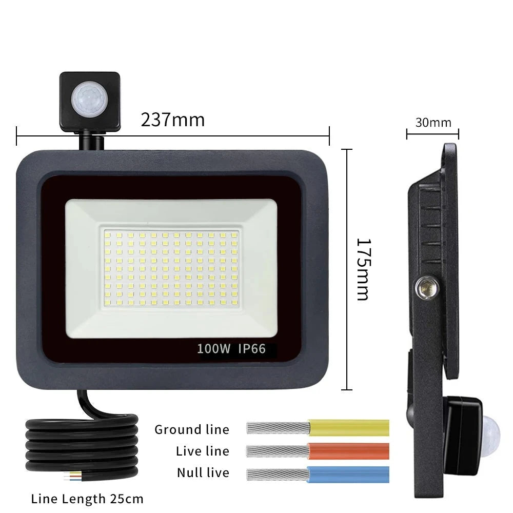 LED PIR motion sensor LED Flood Light Outdoor Led Spotlight LED Projector 220V 100W 50W 30W 20W 10W Outdoor lamp motion detector