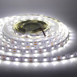 LED Strip 5050 RGB CCT RGBCCT RGB White Lights 12V 24V Waterproof 5M 300LED Blue Warm White LED Tape Lights Flexible