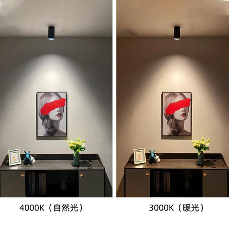 Round Dimmable Surface Mounted LED Downlights 7W9W12W15W COB LED Ceiling Spot Lights AC110-220V LED Lamp Indoor Lighting