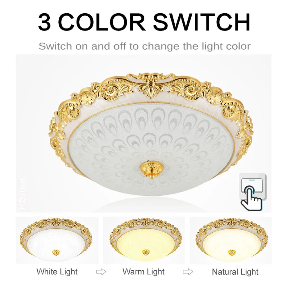 European Modern Glass LED Ceiling Light 15W/24W 110V/220V Gold/Silver Ceiling Lamp For Aisle Porch Apartment Study Home Decor