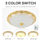 European Modern Glass LED Ceiling Light 15W/24W 110V/220V Gold/Silver Ceiling Lamp For Aisle Porch Apartment Study Home Decor