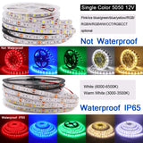 LED Strip 5050 RGB CCT RGBCCT RGB White Lights 12V 24V Waterproof 5M 300LED Blue Warm White LED Tape Lights Flexible