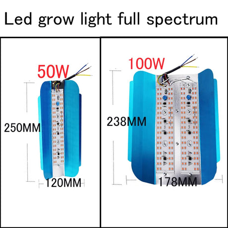 100W 50W 30W 220V 110V led plant grow light full spectrum LED Flood Light Reflector Flood Light Waterproof IP65 Spotlight