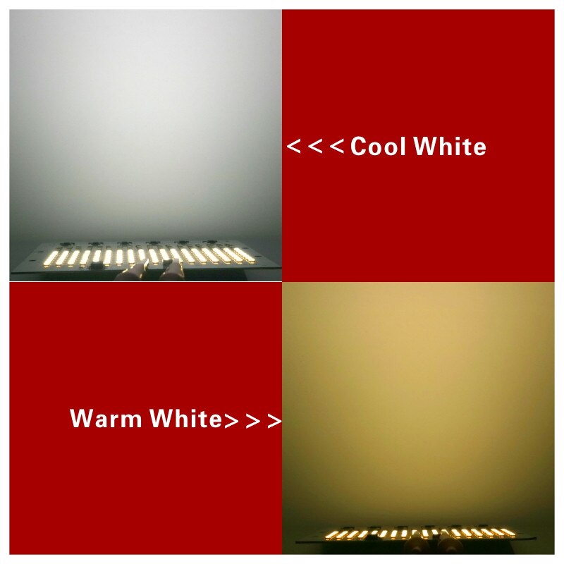 SMD 2835 LED Chip 100W 50W 30W 20W 10W Flood Light Beads AC 220V-240V Led Floodlight Lamp DIY For Outdoor Lighting Spotlight