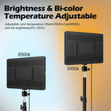 LED Video Light Kit with Tripod - Portable Conference & Photography Lighting Studio Lamp