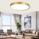 Ultra-thin LED ceiling lamp gold lamp surface installation living room bedroom remote home decoration lighting