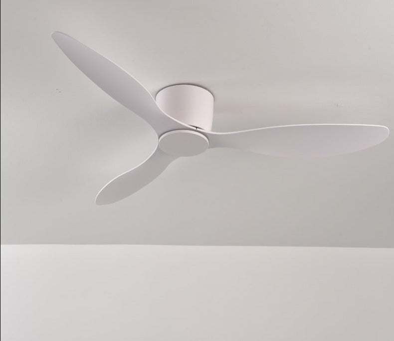 Modern Ceiling Fans Without Light DC 30W Ceiling Fan With Remote Control Home Simple Ceiling Fan No Lights 220V