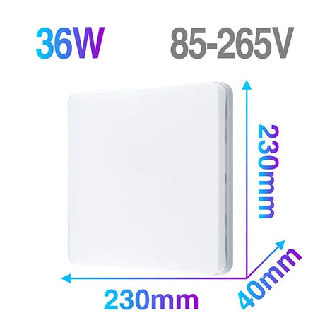 45424580788481|45424580821249|45424580854017