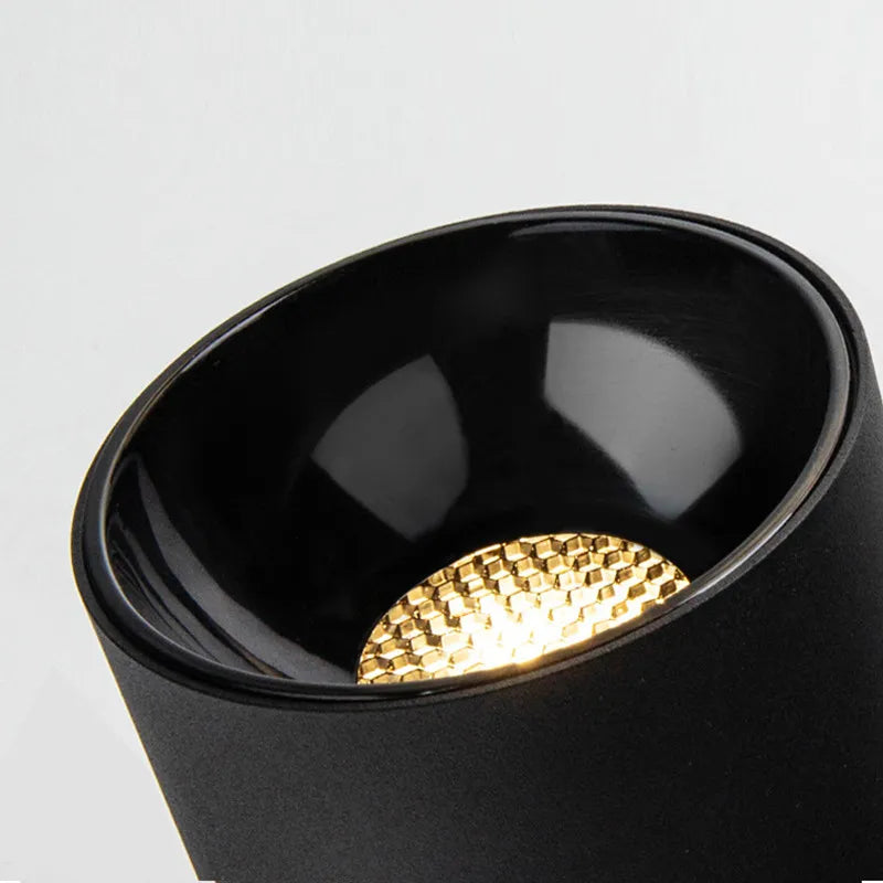 Dimmable Surface Mounted LED Downlights ceiling lamp COB  7W 9W 12W 15W 18W 24W AC110V 220V Spot Light Anti Glare Ceiling Lamp