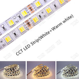 SMD 5050 RGB LED Strip Waterproof 5M 300LED DC 12V 24V CCT RGBCCT  RGBW RGBWW WHITE WARM WHITE NW Fita LED Light Strips Flexible