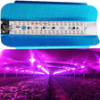 100W 50W 30W 220V 110V led plant grow light full spectrum LED Flood Light Reflector Flood Light Waterproof IP65 Spotlight
