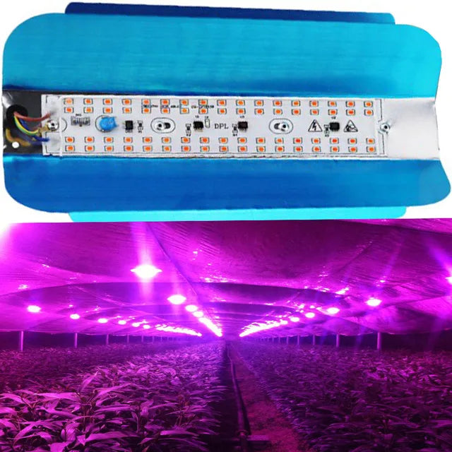 100W 50W 30W 220V 110V led plant grow light full spectrum LED Flood Light Reflector Flood Light Waterproof IP65 Spotlight