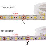 LED Strip 5050 RGB CCT RGBCCT RGB White Lights 12V 24V Waterproof 5M 300LED Blue Warm White LED Tape Lights Flexible