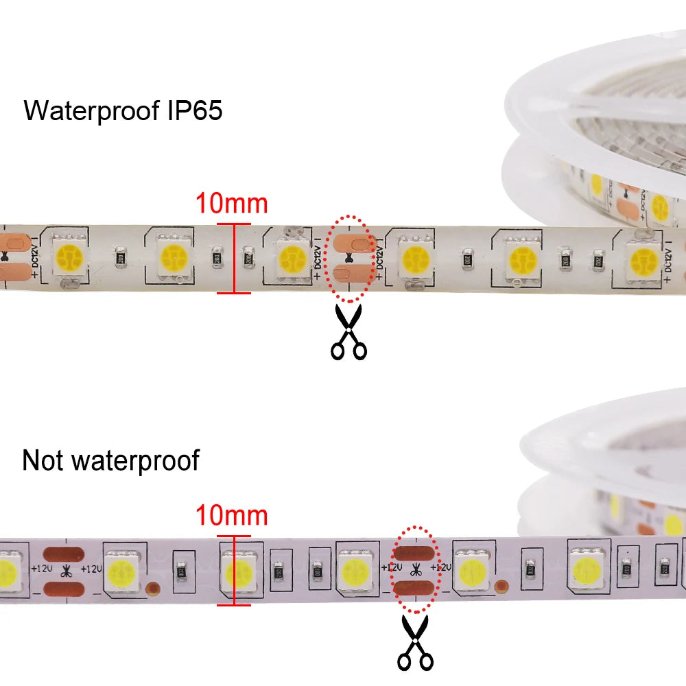 LED Strip 5050 RGB CCT RGBCCT RGB White Lights 12V 24V Waterproof 5M 300LED Blue Warm White LED Tape Lights Flexible