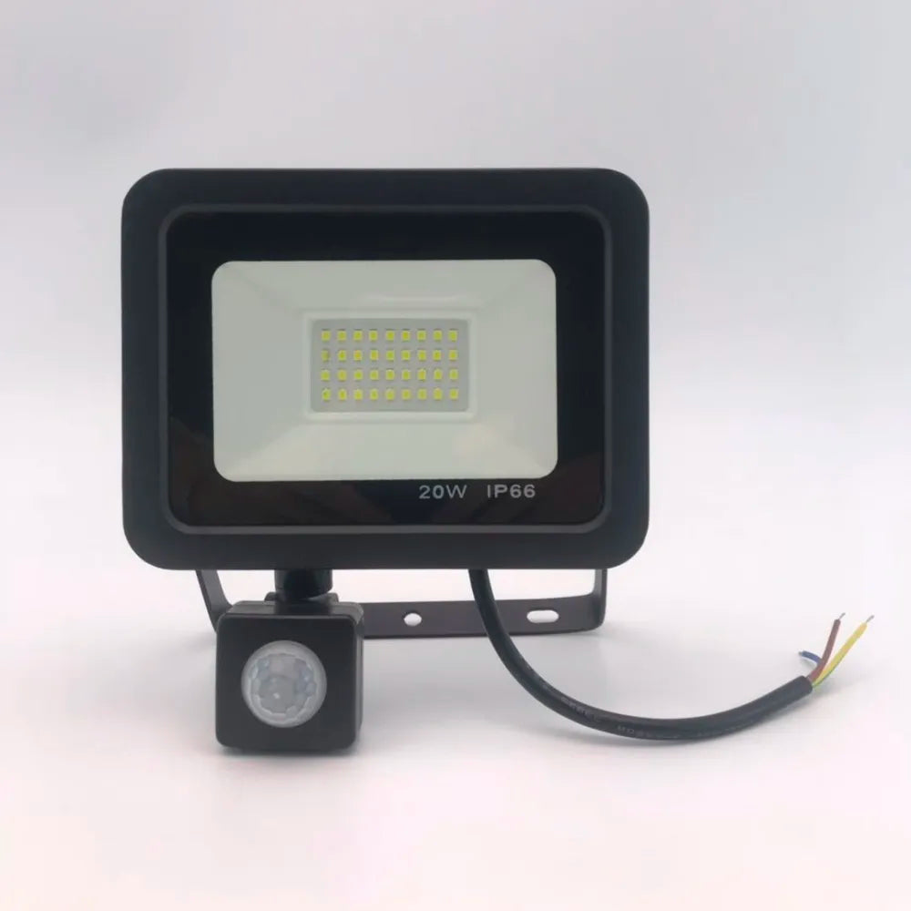 Induction Led flood light With Adjustable PIR Sensor 110V 220V floodlight 10W 20W 30W 50W 100W Street Square Outdoor Lighting