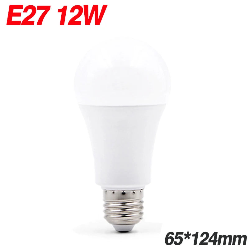 45536445235457|45536445268225