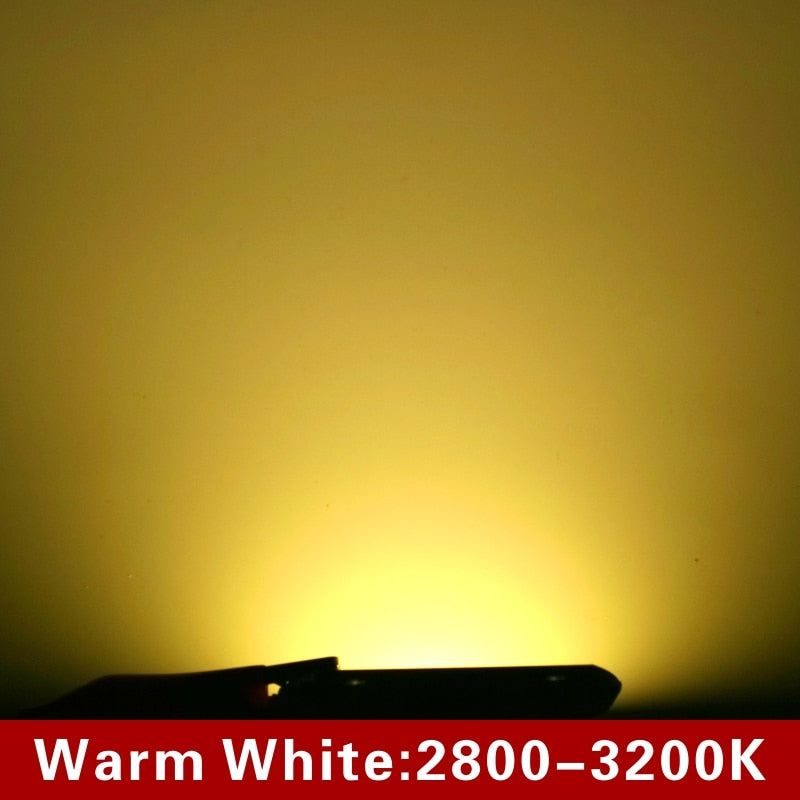 LED Chip 10W 20W 30W 50W 220V 110V COB Lamp Beads Smart IC No Need Driver LED Bulb for Flood Light Spotlight Diy Lighting