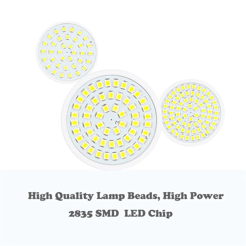 Super Bright LED Spotlights E27 GU10 MR16 Spot Lights Bulbs Lamps 110V 220V 230V DC 12V 24V 2835 SMD for Home Indoor Lighting