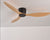 Modern Ceiling Fans Without Light DC 30W Ceiling Fan With Remote Control Home Simple Ceiling Fan No Lights 220V