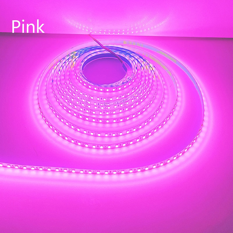 LED Strip 2835 DC12V 24V 120LEDs/m Home Lamp Strip Red Ice Blue Green Yellow Pink Flexible And Cuttable Soft Lamp Bar