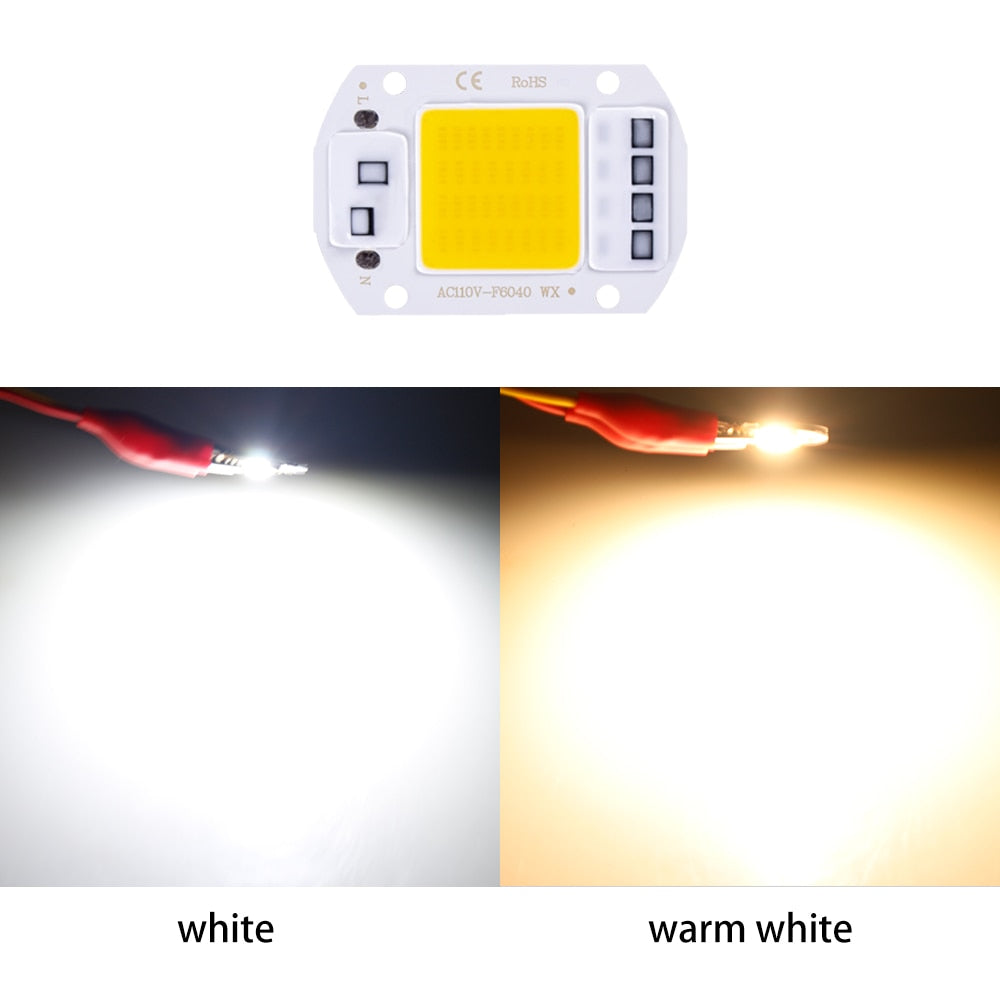 LED Chip 20W 30W 50W AC 220V Smart COB lamp Bead No Need Driver for Flood Light Spotlight Lampada Outdoor Chip Lamp DIY Lighting