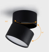 Dimmable Surface Mounted LED COB Downlight 10W/15W/18WRotating LED Spot Light Ceiling Lamp with LED Driver AC110V/220V