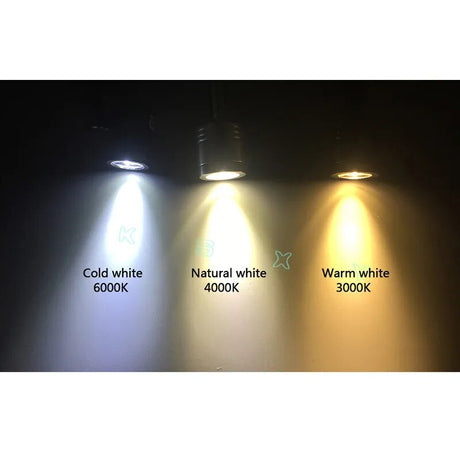 1W 3W Led Cabinet Mini Spot Light 110V 220V Downlight Jewelry Show Include Led Driver 4000K Ceiling Light Lamp