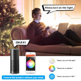 DC12-24V RGB+CCT RGBW WWCW ZigBee Smart LED Strip Controller Voice Control Work with Echo Plus SmartThings