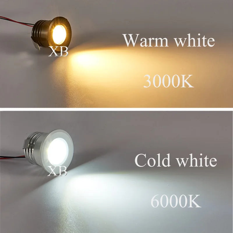 1W 3W Led recessed cabinet mini spot light 110V 220v downlight 12v dc jewelry show Include Led Driver 4000K Ceiling light lamp