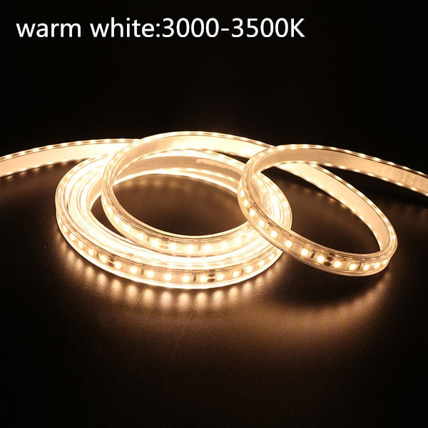 LED Strip Waterproof 12V 24V DC IP67 Natural White 4000K /Warm White 120LEDs/m 2835  Flexible Tape LED Light Lamp