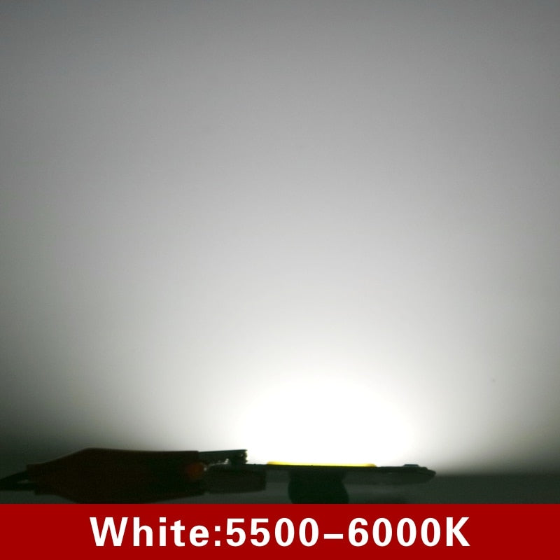 LED Chip 10W 20W 30W 50W 220V 110V COB Lamp Beads Smart IC No Need Driver LED Bulb for Flood Light Spotlight Diy Lighting