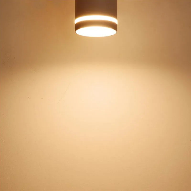 Dimmable Cylinder LED Downlights 7W 12W Ceiling Spot Lights AC110V 220V Background Lamps Indoor Lighting Colorful Girl Room