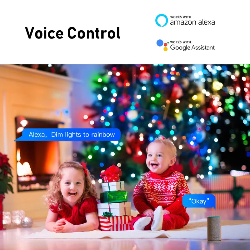 Tuya WiFi Smart Light String Outdoor IP65 Waterproof RGB Light Strip LED Decorative Lights With Remote Control Work With Alexa