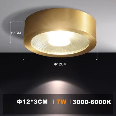 Full Copper 220V LED Ceiling Downlight Nordic Hallway Corridor Porch Surface Mounted Brass 6W 8W 10W Spot Light Fixture