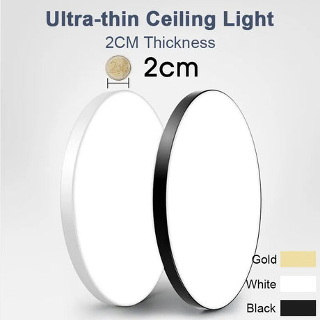 2CM Ultrathin LED Ceiling Lamps in Living Room Bedroom Natural Light Gold Black White Moisture and mosquito proof Ceiling Lights