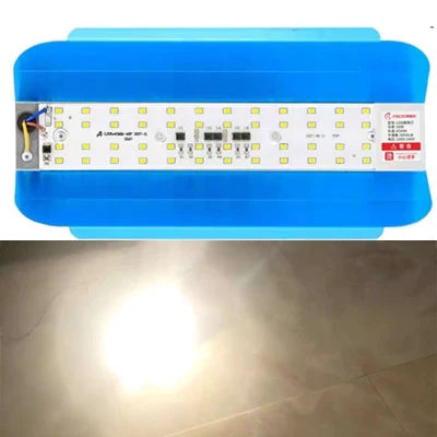 100W 50W 30W 220V 110V led plant grow light full spectrum LED Flood Light Reflector Flood Light Waterproof IP65 Spotlight