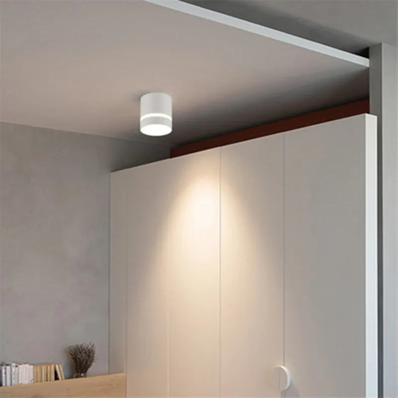 Dimmable Cylinder LED Downlights 7W 12W Ceiling Spot Lights AC110V 220V Background Lamps Indoor Lighting Colorful Girl Room