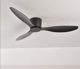Modern Ceiling Fans Without Light DC 30W Ceiling Fan With Remote Control Home Simple Ceiling Fan No Lights 220V