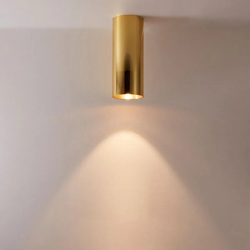 Modern LED ceiling lamp 110V/220V household pendant lamp 12W dimmable COB clothing commercial lighting spotlight