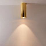 Modern LED ceiling lamp 110V/220V household pendant lamp 12W dimmable COB clothing commercial lighting spotlight