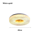 Remote Control LED Ceiling Lamp - Dimmable Nordic Chandelier for Living Room